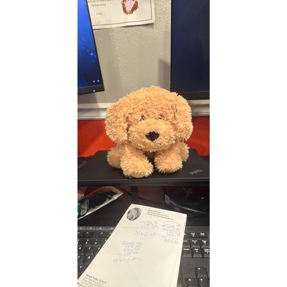Labradoodle 10" Warmies Therapy, Weighted, Comfort, Sensory, Microwavable Plush